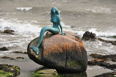 The Mermaid of the North