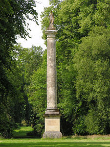Column in the Upper Policies