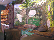 Displays on Forestry