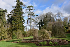 The Gardens in February