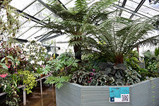 More of the Glasshouse