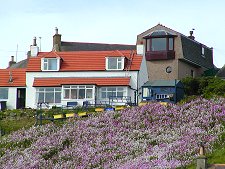 Clifftop Houses and Flowers
