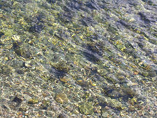 The Clear Waters of Loch Long