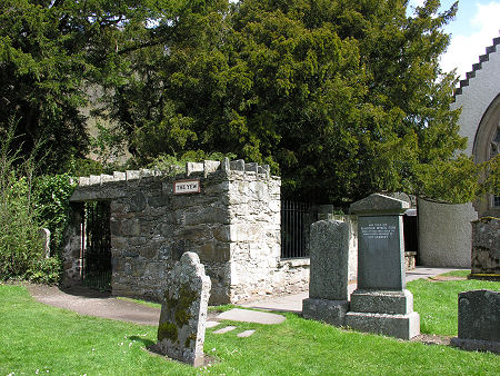 The Fortingall Yew
