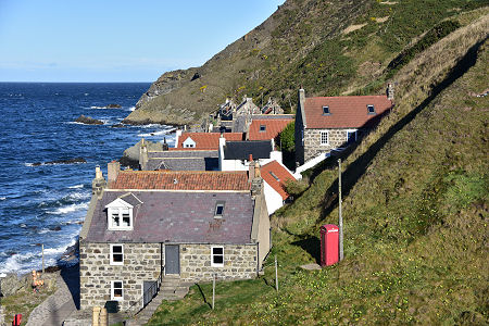 Crovie from the Hairpin