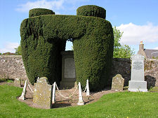 Hedge Surrounding Gravestone