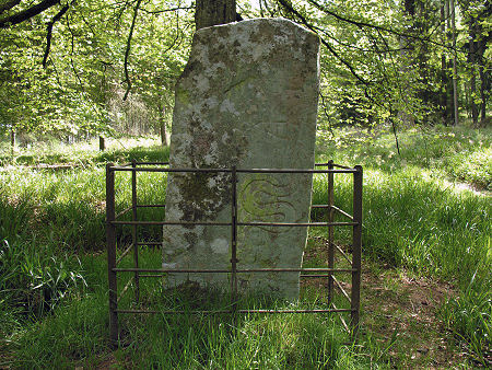 The Rear Face of the Hunters Hill Stone