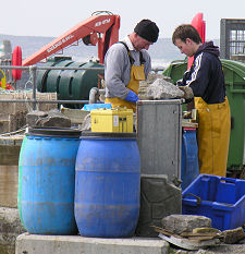 Processing the Catch