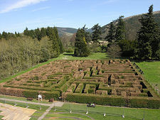 The Maze Seen from the House