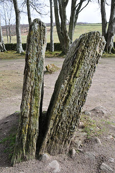 Paired Standing Stone