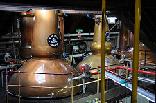 First Glimpse of the Stills