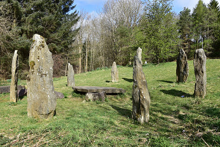 The Stones of Livingston