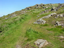 Grassy Path Up the Law