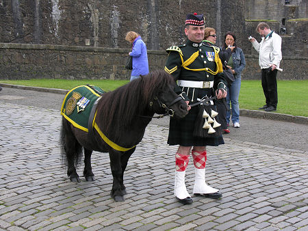 Regimental Mascot Outside Main Gate
