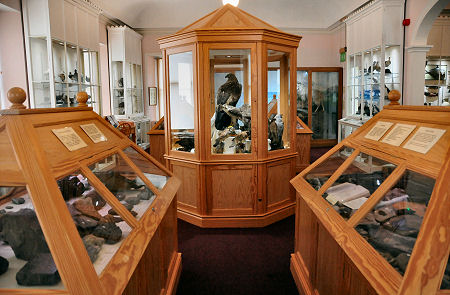 Natural History on the Upper Floor