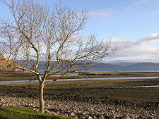 View East Across Loch Linnhe