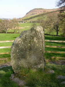 The Eagle Stone at Strathpeffer