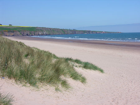 Пляж Angus Angus-450