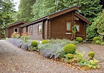View of Diamond Cottage