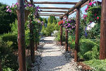 View of the garden