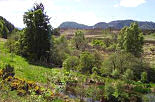 View from Riverside Cottages