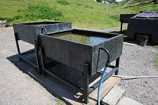 Gold Panning Area