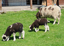 Residents of the Wool Centre