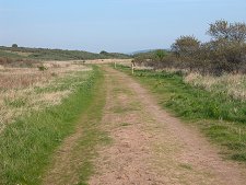 Heathland Path