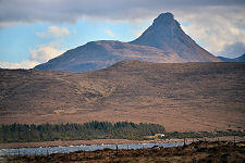 ...And Without the Snow