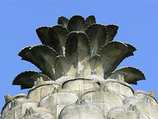 Top of the Pineapple