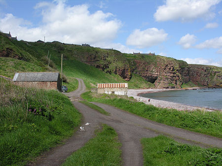 The Bay at Auchmithie