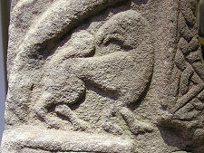 Detail of a Mythical Animal