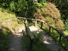 Cliff Path