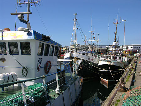 Fishing Boats in Mallaig Harbour