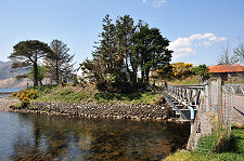 Bridge Over the River