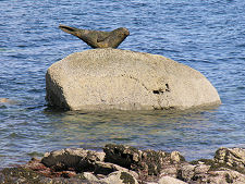Sculpture of a Seal