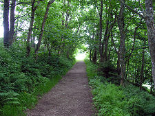 Woodland Walk to Torrylinn Cairn