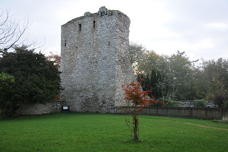 Drumin Castle from the West