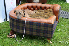 A Sofa for your Canine Companion