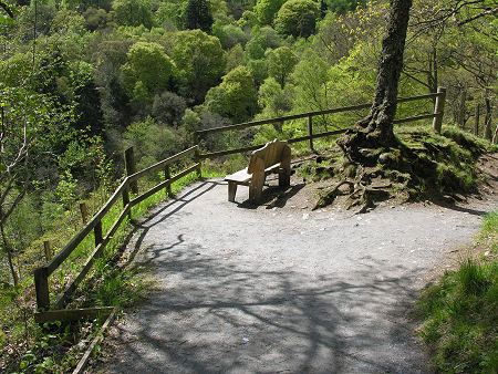 Viewpoint on Path Down into the Pass