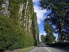 The Hedge in September 2000
