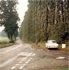 The Hedge in the 1960s