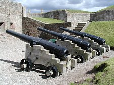 Castle Cannons