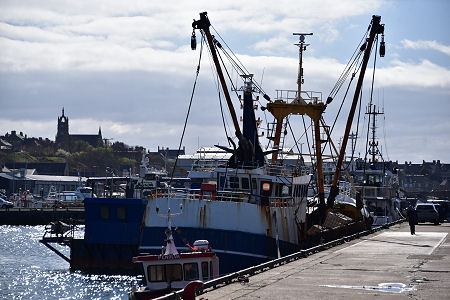 View from the Far Side of the Harbour