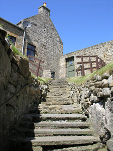 View Back Up the Steps
