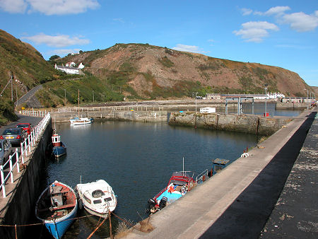 Burnmouth Harbour from the South