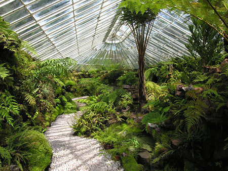 The Interior of the Fernery