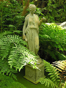 Statue in the Fernery