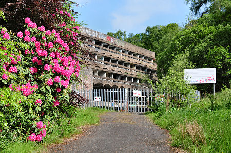 Approaching St Peter's, with Rhododendrons in Bloom