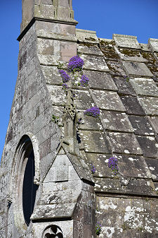 Roof, and Flowers